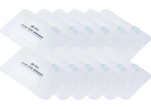 FREE GIFT - The Ice Brick (6 units) - Image 9
