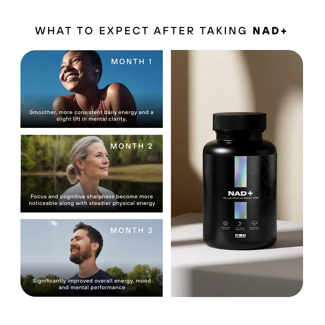 NAD+ - Image 5
